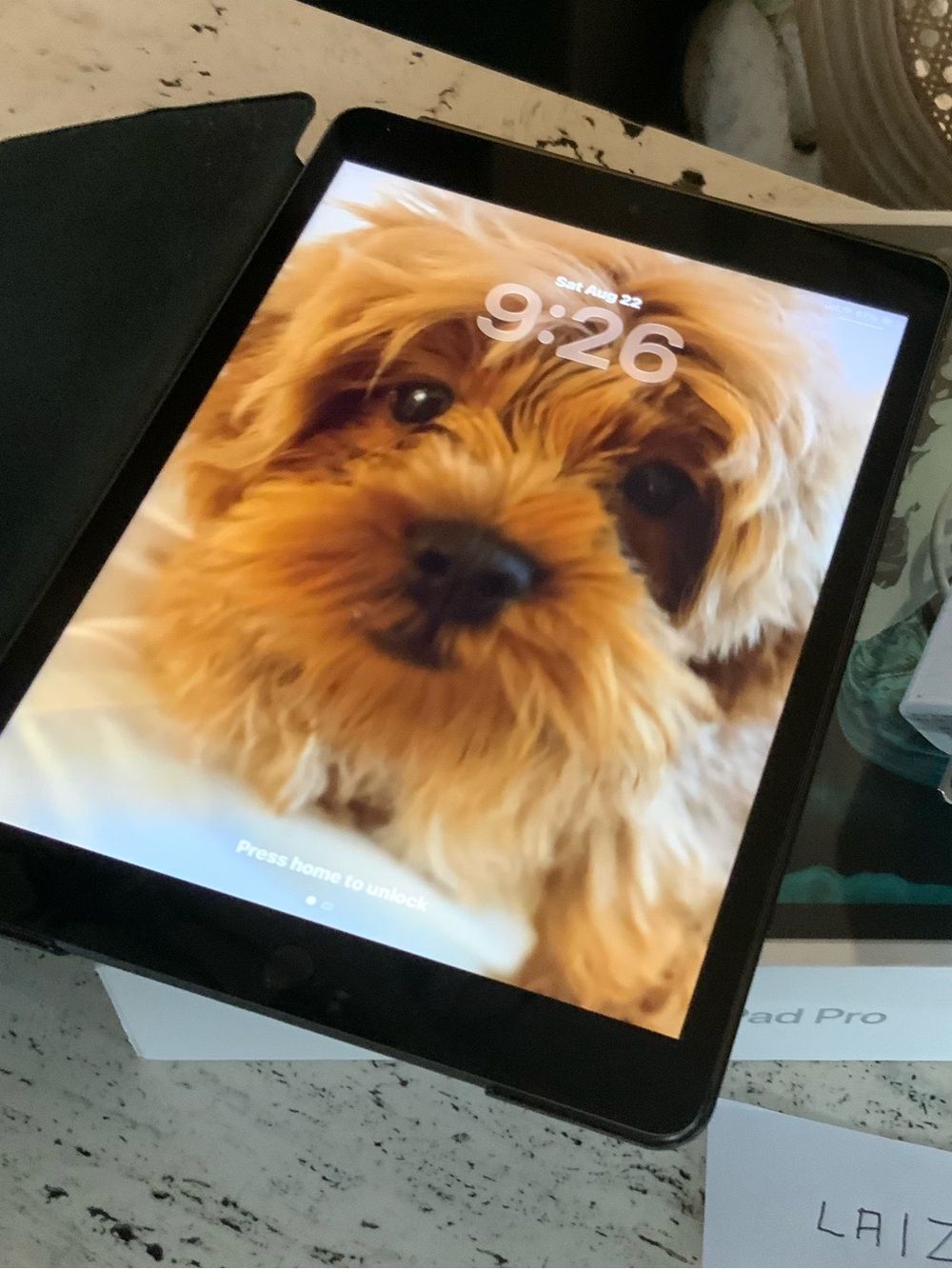 Apple IPad 9th generation  Version IPadOS 26.6
